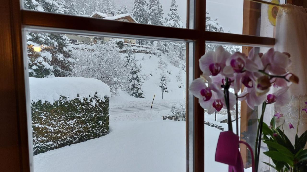 Chalet Villa Rita Tesero Exteriör bild